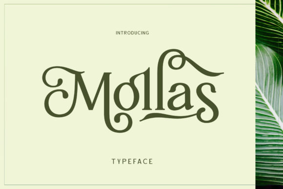 Mollas: A Playful Vintage Display Font for Small Business Branding