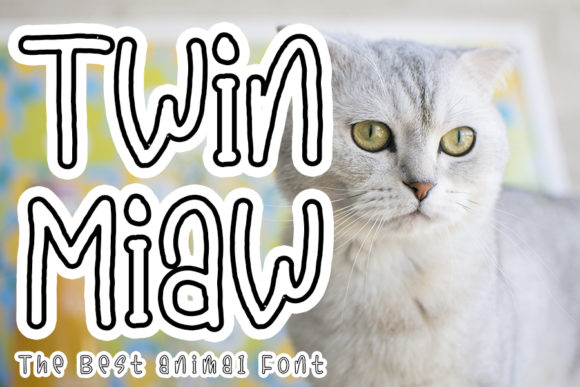 Twin Miaw: A Friendly Display Font That Makes Your Brand Feel Human